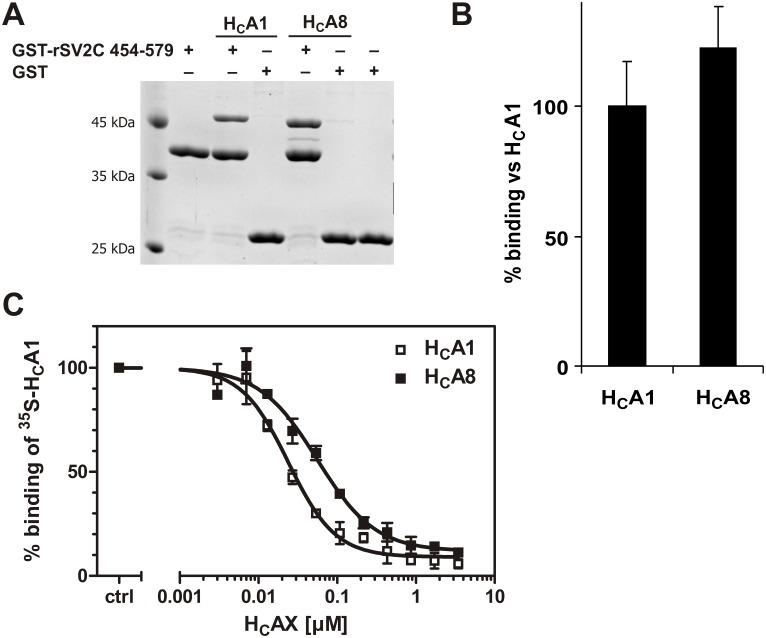 https://cdn.ncbi.nlm.nih.gov/pmc/blobs/1d79/4320087/d14c5c9a7abe/pone.0116381.g005.jpg
