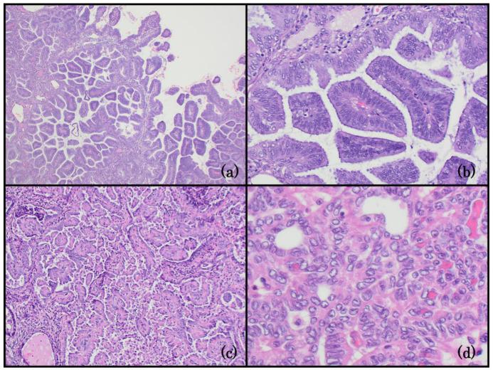 https://cdn.ncbi.nlm.nih.gov/pmc/blobs/1d7b/10971728/b28d9a1963b9/life-14-00387-g003.jpg
