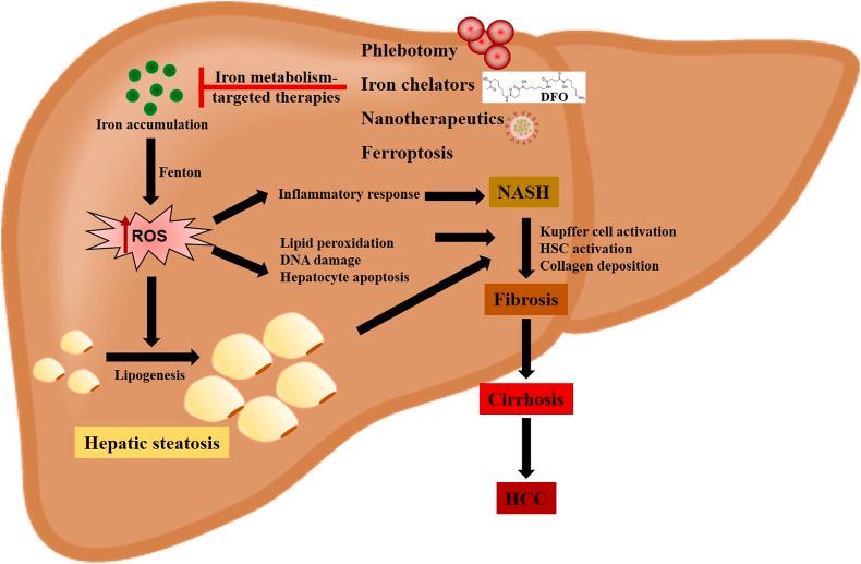 https://cdn.ncbi.nlm.nih.gov/pmc/blobs/1d7b/11791839/f1767e526726/gr2.jpg