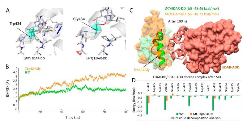 https://cdn.ncbi.nlm.nih.gov/pmc/blobs/1d7e/6862269/56dbf870e3e0/ijms-20-05282-g004.jpg