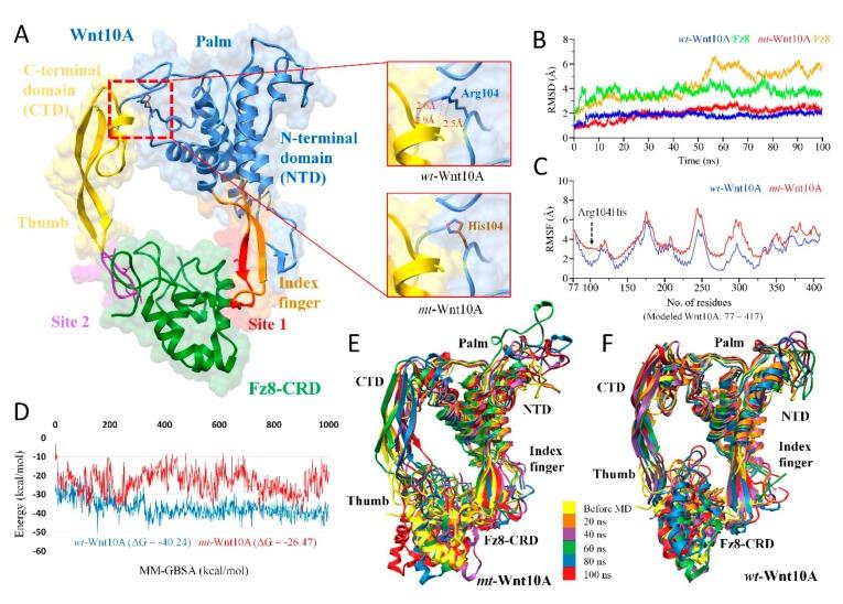 https://cdn.ncbi.nlm.nih.gov/pmc/blobs/1d7e/6862269/e3a6b7639058/ijms-20-05282-g003.jpg