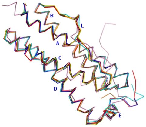 https://cdn.ncbi.nlm.nih.gov/pmc/blobs/1d7f/2777505/58e53d571f9e/pone.0008028.g003.jpg