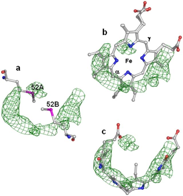 https://cdn.ncbi.nlm.nih.gov/pmc/blobs/1d7f/2777505/e66ccca399b6/pone.0008028.g004.jpg