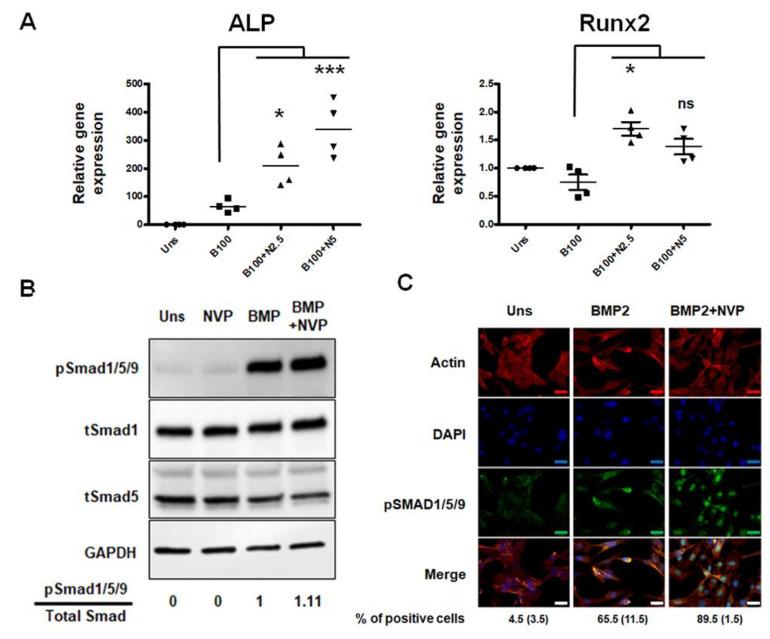 https://cdn.ncbi.nlm.nih.gov/pmc/blobs/1d7f/8541071/51c7ded22f1a/ijms-22-11052-g003.jpg