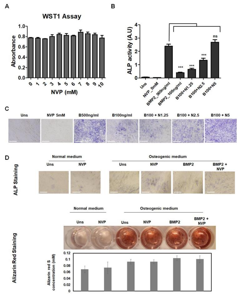 https://cdn.ncbi.nlm.nih.gov/pmc/blobs/1d7f/8541071/ab6ab5cf8d3a/ijms-22-11052-g002.jpg