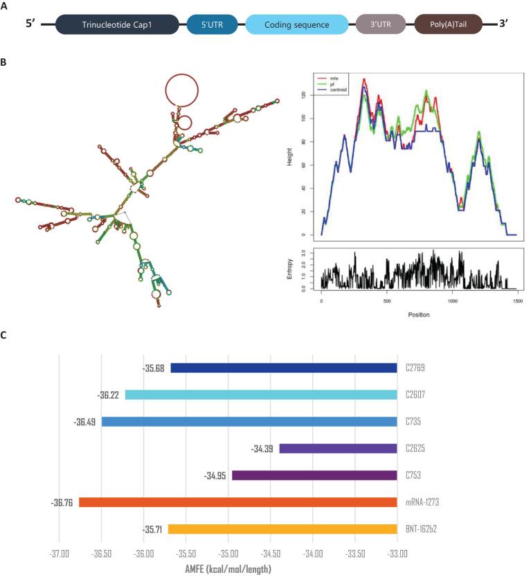 https://cdn.ncbi.nlm.nih.gov/pmc/blobs/1d82/12130045/bff680910aab/fimmu-16-1586271-g008.jpg