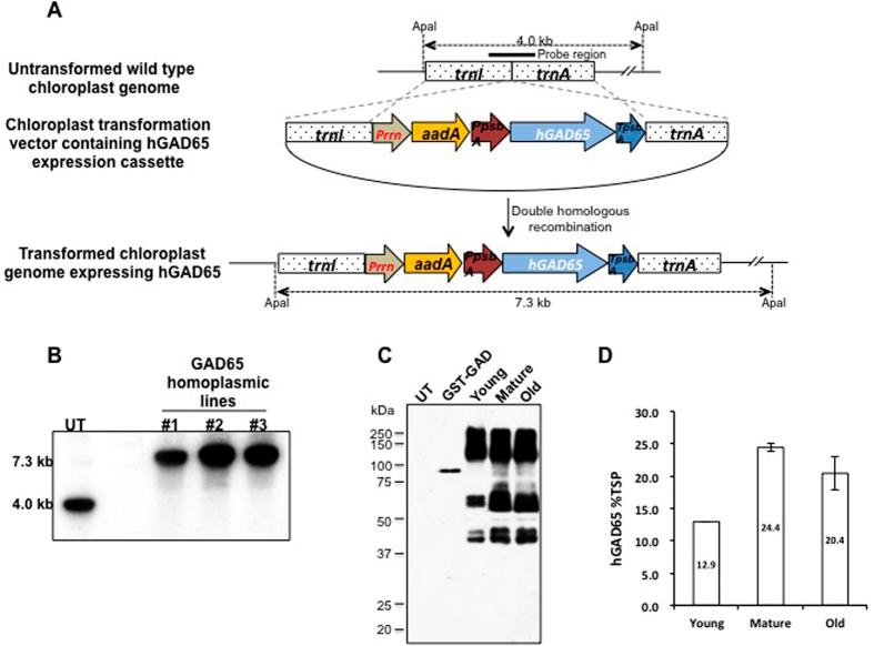 https://cdn.ncbi.nlm.nih.gov/pmc/blobs/1d84/5304332/1b8f0b285940/srep42372-f1.jpg