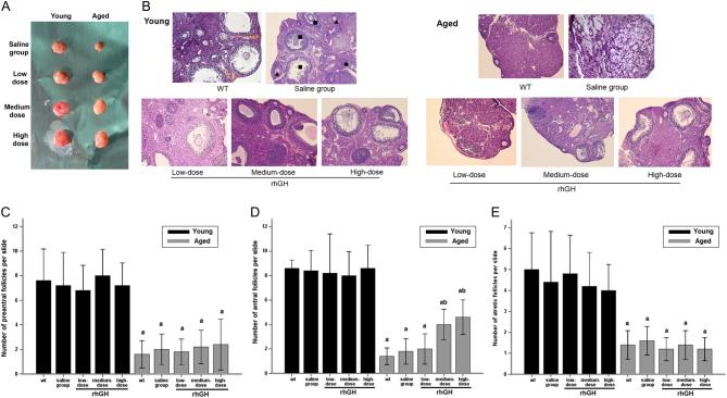 https://cdn.ncbi.nlm.nih.gov/pmc/blobs/1d84/6420407/4bf731a1e5fc/REP-18-0529fig1.jpg