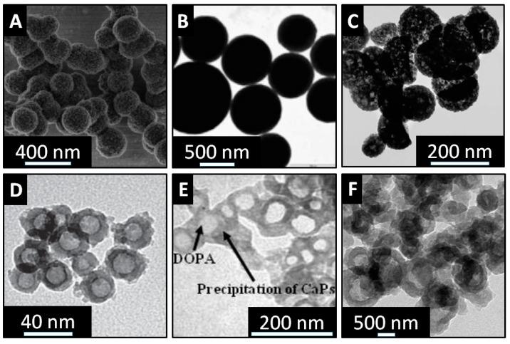 https://cdn.ncbi.nlm.nih.gov/pmc/blobs/1d85/6321143/864cf389d1e7/pharmaceutics-10-00167-g007.jpg