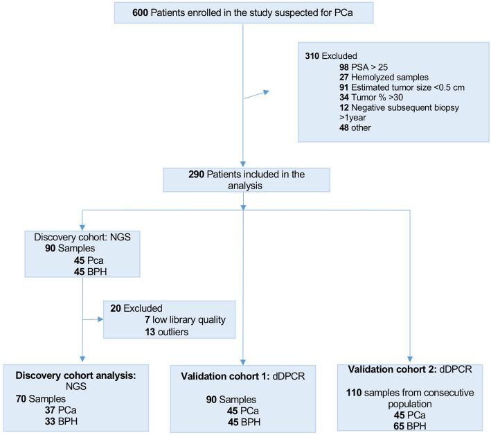 https://cdn.ncbi.nlm.nih.gov/pmc/blobs/1d85/7903618/d4b18c8733fa/13046_2021_1875_Fig1_HTML.jpg