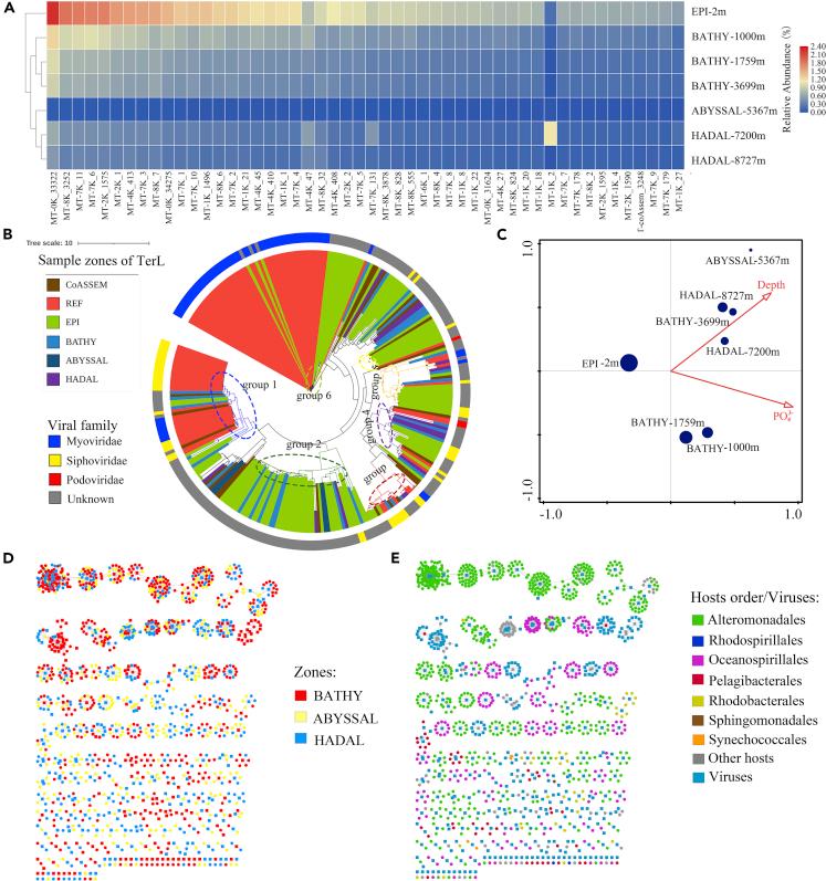 https://cdn.ncbi.nlm.nih.gov/pmc/blobs/1d86/9356048/6c7a60be5dca/gr2.jpg