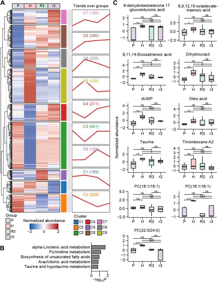 https://cdn.ncbi.nlm.nih.gov/pmc/blobs/1d89/11220191/aa30151f816e/fmolb-11-1375360-g003.jpg