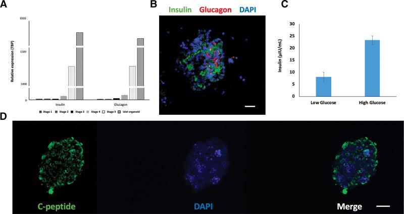 https://cdn.ncbi.nlm.nih.gov/pmc/blobs/1d8d/11177823/0f9e33967692/txd-10-e1658-g002.jpg