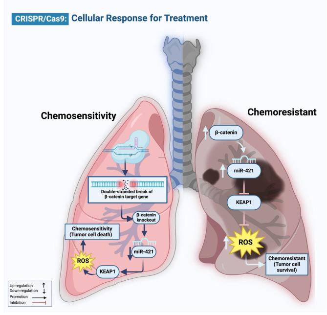 https://cdn.ncbi.nlm.nih.gov/pmc/blobs/1d8d/11179281/78e61dc9c781/12964_2024_1713_Fig3_HTML.jpg