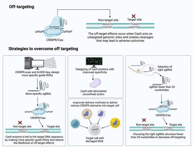 https://cdn.ncbi.nlm.nih.gov/pmc/blobs/1d8d/11179281/8519164a82a6/12964_2024_1713_Fig5_HTML.jpg