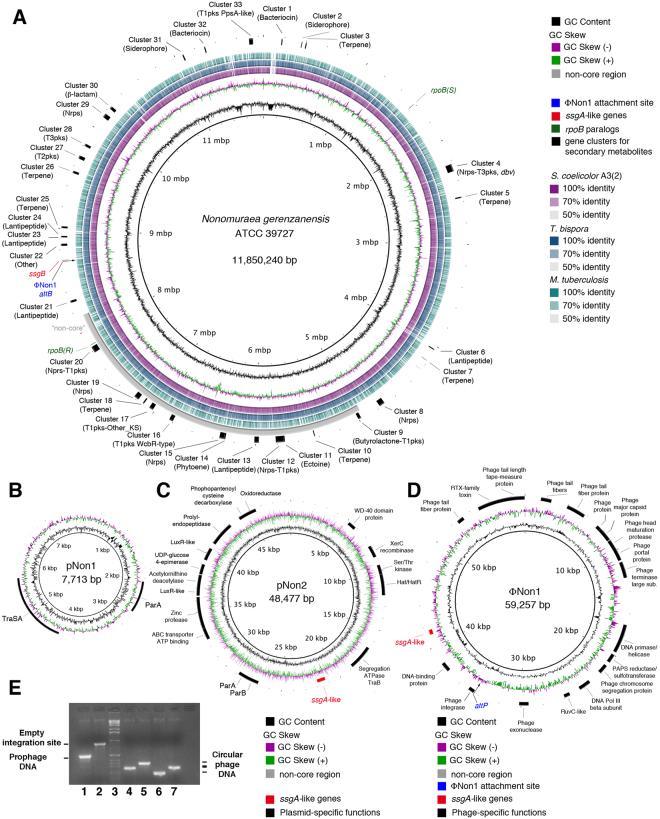 https://cdn.ncbi.nlm.nih.gov/pmc/blobs/1d8d/5431353/2227a61e2401/41598_2016_25_Fig1_HTML.jpg