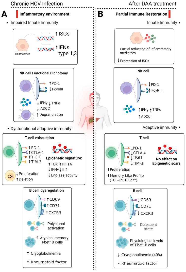 https://cdn.ncbi.nlm.nih.gov/pmc/blobs/1d96/10779088/aee0583ef1bd/ijms-25-00268-g001.jpg