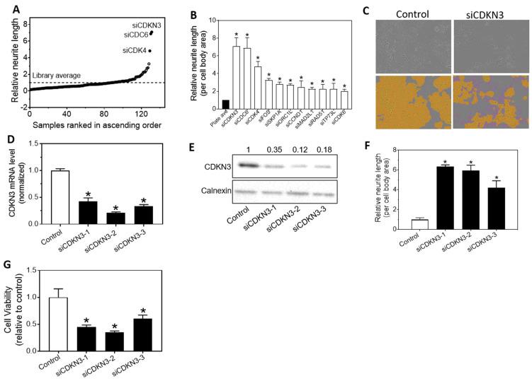 https://cdn.ncbi.nlm.nih.gov/pmc/blobs/1d98/10861815/1bc7f3627276/jcav15p1153g001.jpg