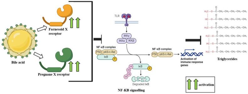 https://cdn.ncbi.nlm.nih.gov/pmc/blobs/1d99/11432476/95a0e4f32f5e/ijms-25-10208-g001.jpg
