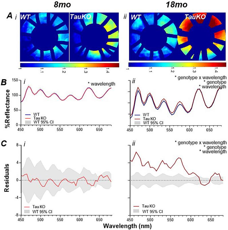 https://cdn.ncbi.nlm.nih.gov/pmc/blobs/1d9a/11245556/6fecd89f5639/41598_2024_66284_Fig3_HTML.jpg