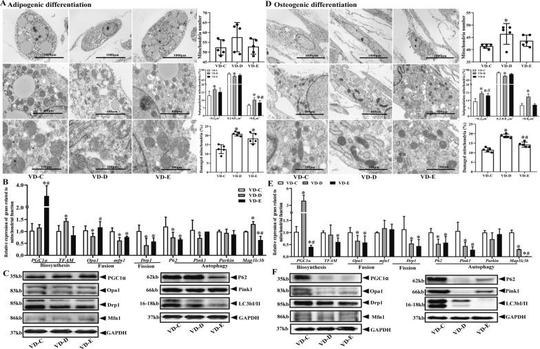 https://cdn.ncbi.nlm.nih.gov/pmc/blobs/1d9b/11321190/ea38b494f1c7/13287_2024_3860_Fig6_HTML.jpg