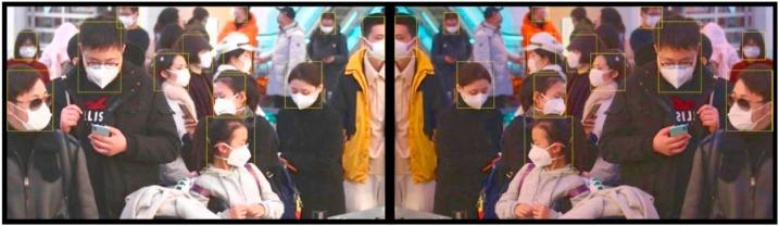 https://cdn.ncbi.nlm.nih.gov/pmc/blobs/1d9b/7658565/8f3072d3e125/gr7_lrg.jpg