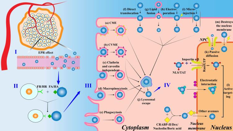 https://cdn.ncbi.nlm.nih.gov/pmc/blobs/1da0/12335257/8cc243b4434c/IJN-20-9695-g0002.jpg