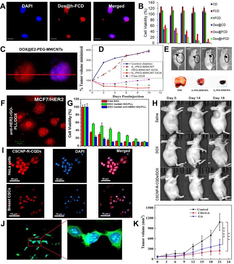 https://cdn.ncbi.nlm.nih.gov/pmc/blobs/1da0/12335257/d1c02f145f19/IJN-20-9695-g0006.jpg