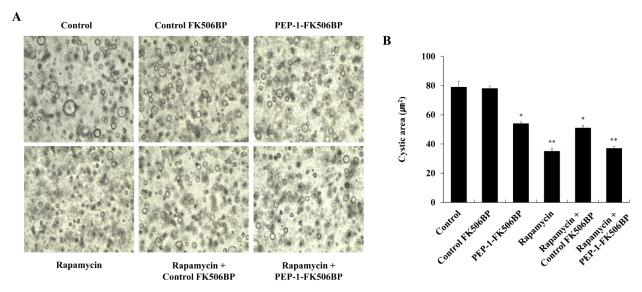 https://cdn.ncbi.nlm.nih.gov/pmc/blobs/1da1/5625693/a8c2af974758/bmb-50-460f4.jpg