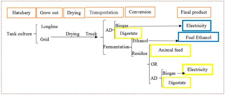 https://cdn.ncbi.nlm.nih.gov/pmc/blobs/1da3/5746759/9ade7f8baf69/bioengineering-04-00092-g001.jpg