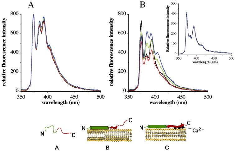 https://cdn.ncbi.nlm.nih.gov/pmc/blobs/1da5/6264589/b6296307fd95/molecules-16-07909-g003.jpg