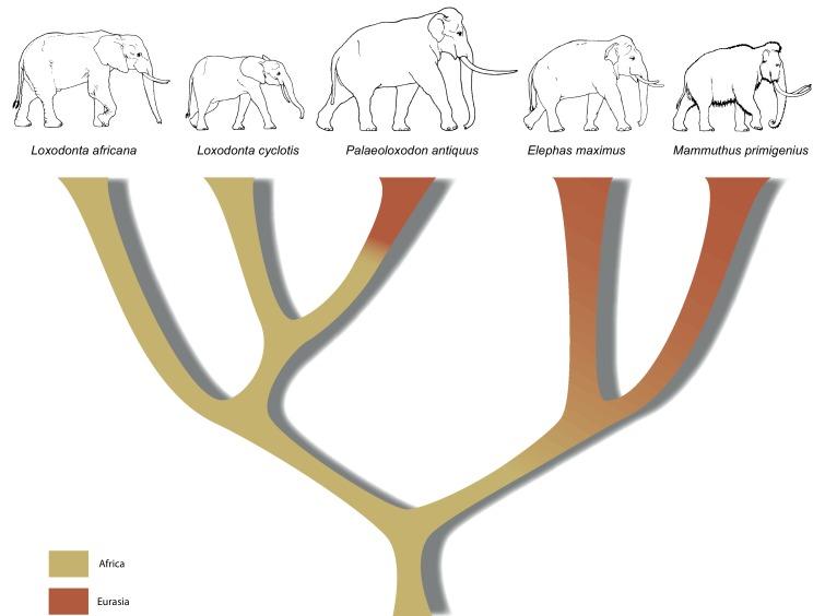 https://cdn.ncbi.nlm.nih.gov/pmc/blobs/1da7/5461109/6bc849202d07/elife-25413-fig3.jpg