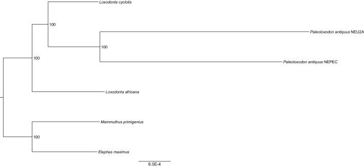 https://cdn.ncbi.nlm.nih.gov/pmc/blobs/1da7/5461109/6c01cb9ba913/elife-25413-fig2-figsupp4.jpg