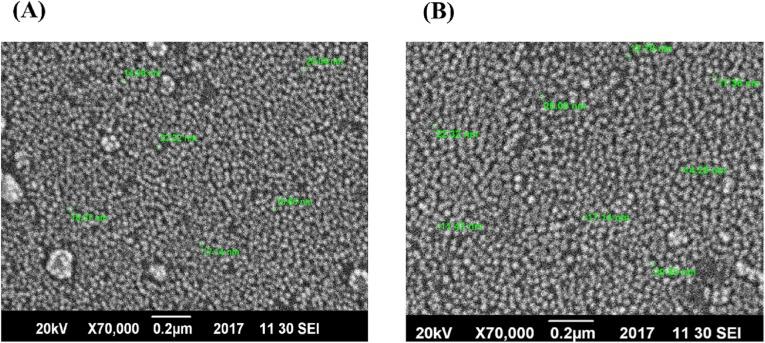https://cdn.ncbi.nlm.nih.gov/pmc/blobs/1dab/6301278/0e1b57d5930a/peerj-06-6086-g003.jpg