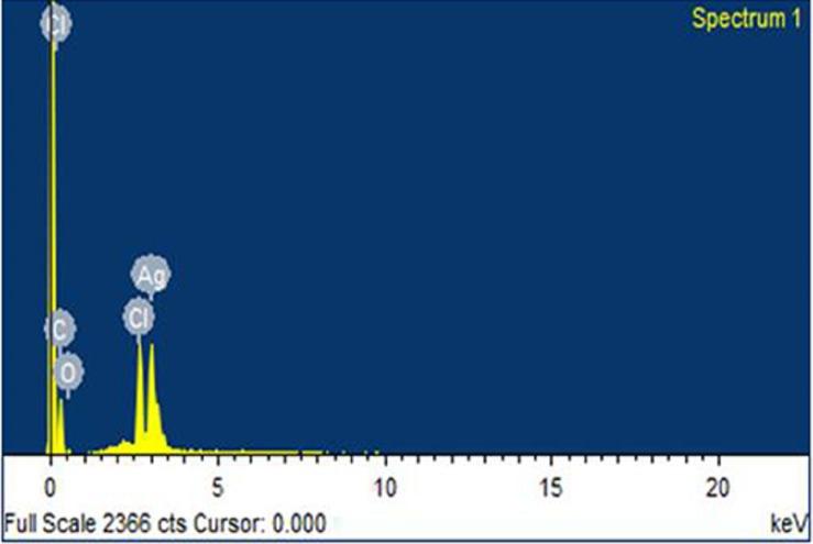 https://cdn.ncbi.nlm.nih.gov/pmc/blobs/1dab/6301278/208a55fb2e41/peerj-06-6086-g004.jpg
