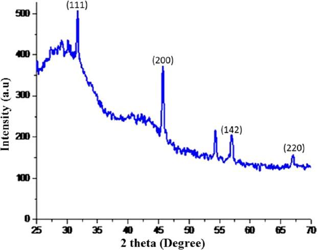 https://cdn.ncbi.nlm.nih.gov/pmc/blobs/1dab/6301278/458f4a7f6d06/peerj-06-6086-g005.jpg