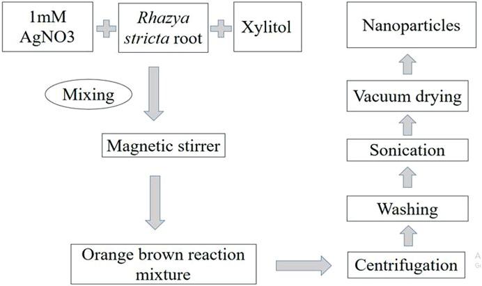 https://cdn.ncbi.nlm.nih.gov/pmc/blobs/1dab/6301278/6bb0427e9ce3/peerj-06-6086-g001.jpg