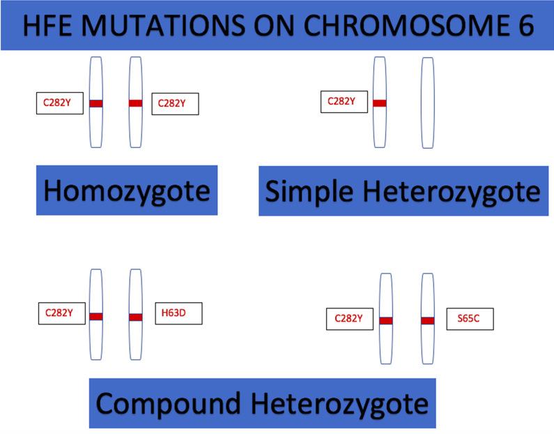 https://cdn.ncbi.nlm.nih.gov/pmc/blobs/1dac/7888131/c0e995b9a7e7/13256_2020_2610_Fig1_HTML.jpg