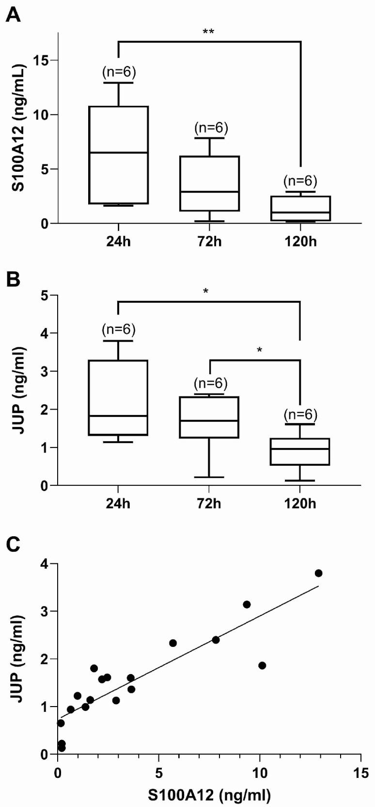 https://cdn.ncbi.nlm.nih.gov/pmc/blobs/1dad/11641628/b2d90692cc29/ijms-25-13071-g004.jpg
