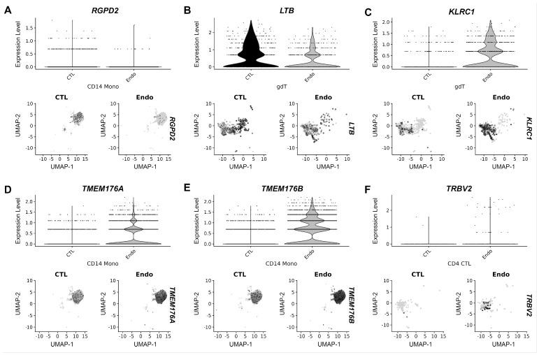 https://cdn.ncbi.nlm.nih.gov/pmc/blobs/1dad/11641628/bda2089cb286/ijms-25-13071-g005.jpg