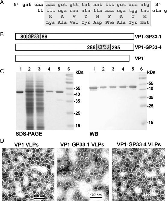 https://cdn.ncbi.nlm.nih.gov/pmc/blobs/1dad/7114473/41684bf00202/gr1.jpg