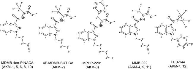 https://cdn.ncbi.nlm.nih.gov/pmc/blobs/1dae/12038813/aa03e1825084/owae026f4.jpg