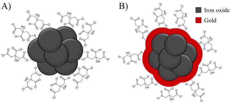 https://cdn.ncbi.nlm.nih.gov/pmc/blobs/1dae/9774466/91906d2b0e7a/bioengineering-09-00806-g001.jpg