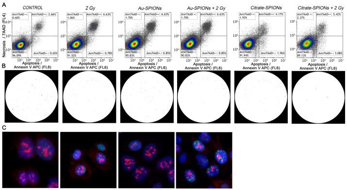 https://cdn.ncbi.nlm.nih.gov/pmc/blobs/1dae/9774466/965f725236da/bioengineering-09-00806-g005.jpg