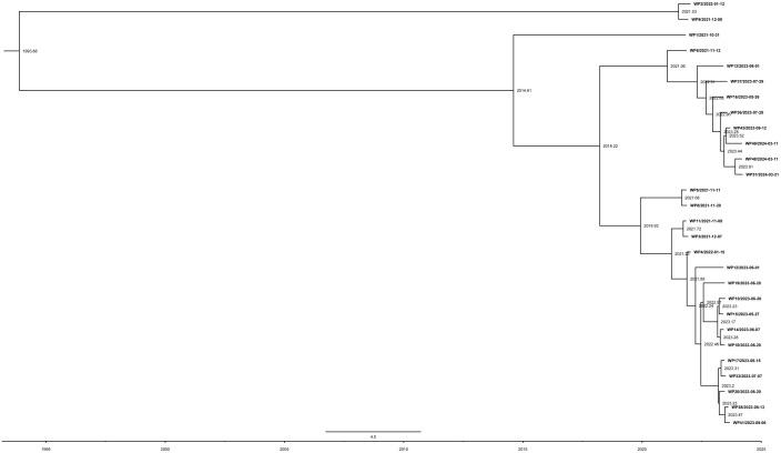 https://cdn.ncbi.nlm.nih.gov/pmc/blobs/1daf/12066476/bb44a4954cee/fcimb-15-1560634-g004.jpg