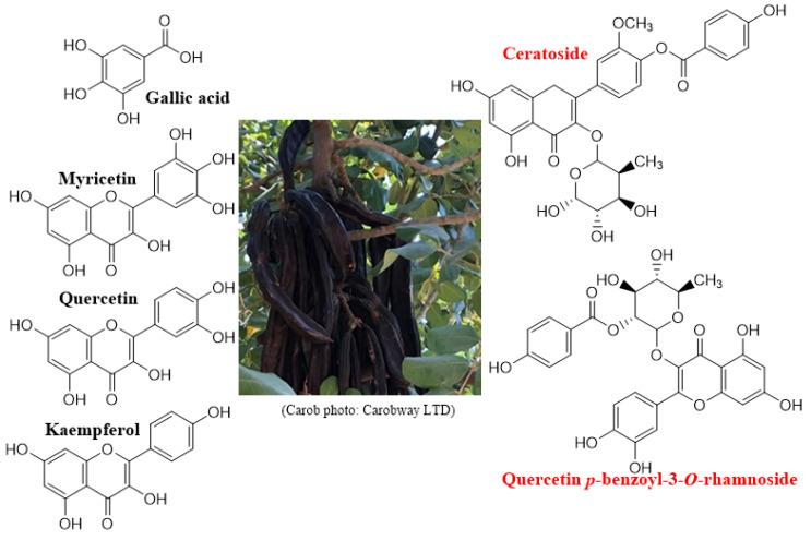 https://cdn.ncbi.nlm.nih.gov/pmc/blobs/1db1/9003036/c2f6fb5a05b9/nutrients-14-01453-g001.jpg