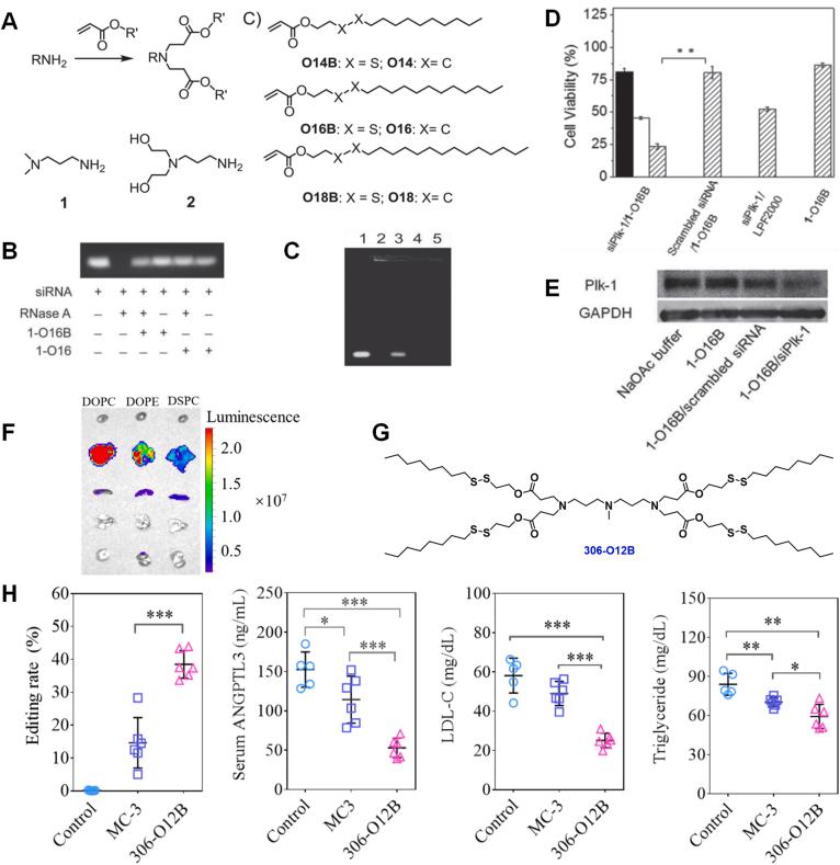 https://cdn.ncbi.nlm.nih.gov/pmc/blobs/1db1/9214058/4759b7c2aad0/gr2.jpg