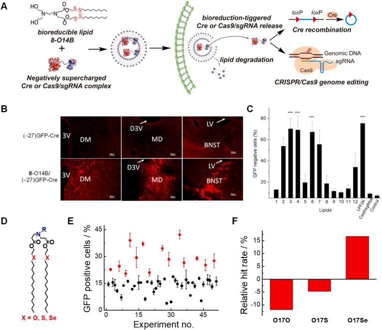 https://cdn.ncbi.nlm.nih.gov/pmc/blobs/1db1/9214058/e435e8ea5436/gr4.jpg