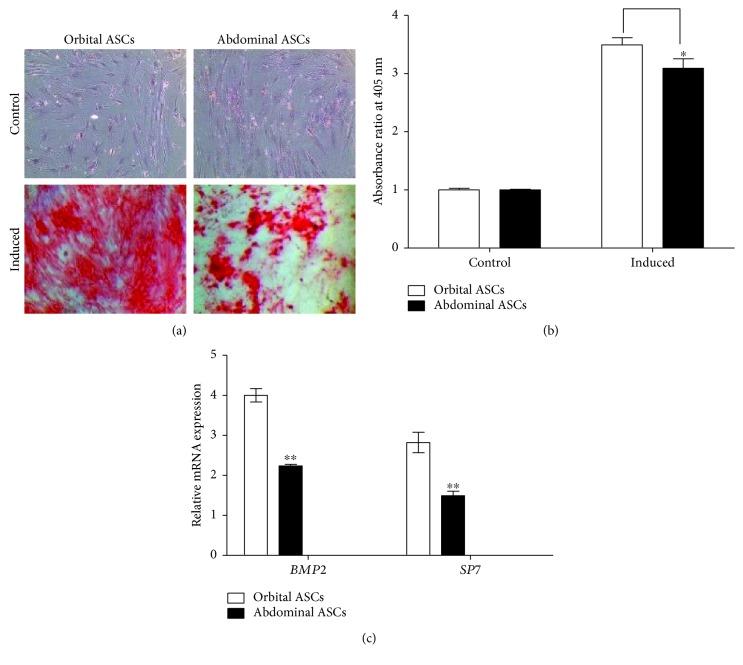 https://cdn.ncbi.nlm.nih.gov/pmc/blobs/1db2/6120258/54823fde65a2/SCI2018-3932615.003.jpg