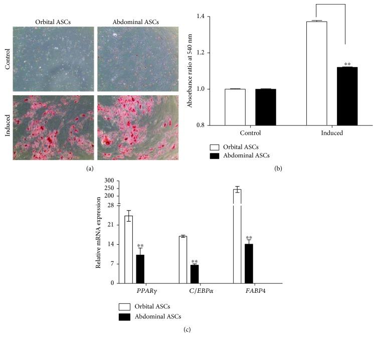 https://cdn.ncbi.nlm.nih.gov/pmc/blobs/1db2/6120258/934c3de1e77d/SCI2018-3932615.002.jpg